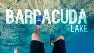 Trải nghiệm lặn độc đáo cho du khách tại hồ Barracuda của Philippines