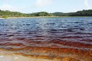Hồ Lagoa da Araraquara ở Brazil sở hữu màu nước vô cùng đặc biệt