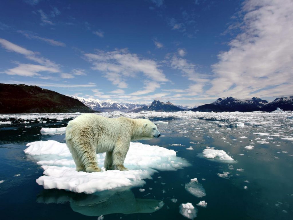 Hiện tượng tan băng ở Bắc Cực được AI dự đoán