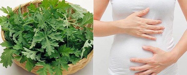 Phụ nữ mang thai không nên ăn rau ngải cứu